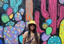 Data Science Behind the Desk: A Day in the Life of a Data Pro